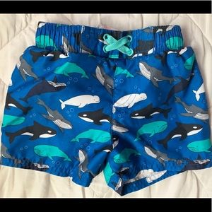 Cat & Jack Toddler Boys Swim Trunks SZ 18m NWOT